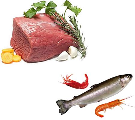 肉食品水產(chǎn)品烘干機、肉脯烘干設(shè)備、肉類烘干設(shè)備
